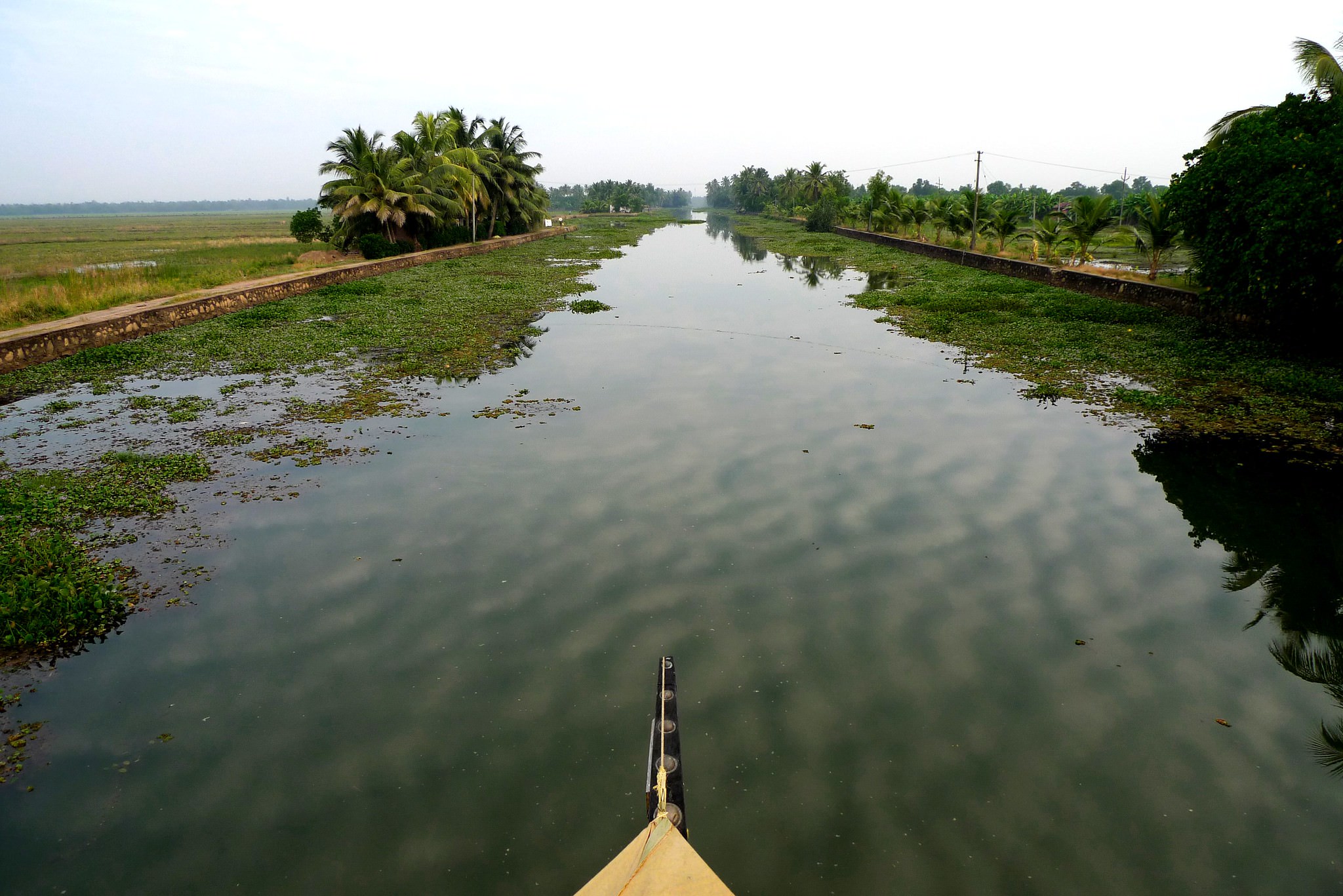 View of the Kerala backwaters