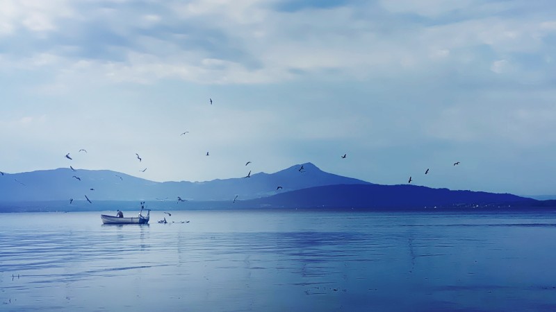 Fishing boat with gulls circling above on a background of mountains