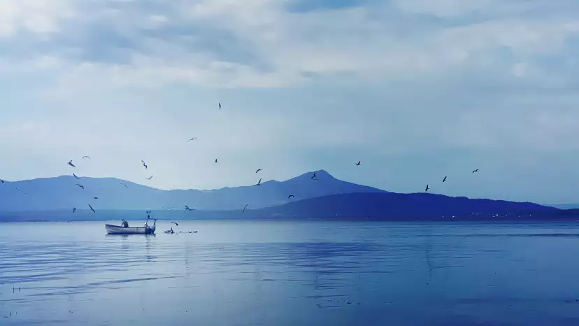 Fishing boat with gulls circling above on a background of mountains