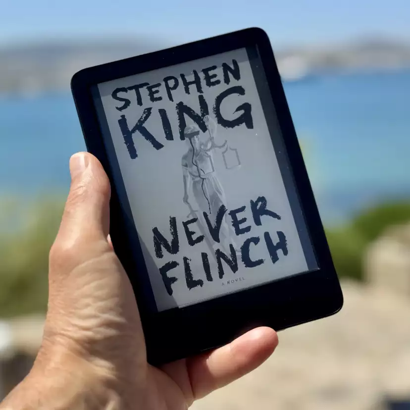 Kindle cover of Never Flinch