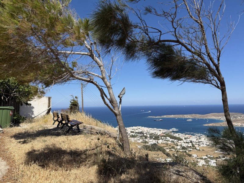 Two empty benches under wind battered trees over looking Parikia bay from Agioi Anargiroi