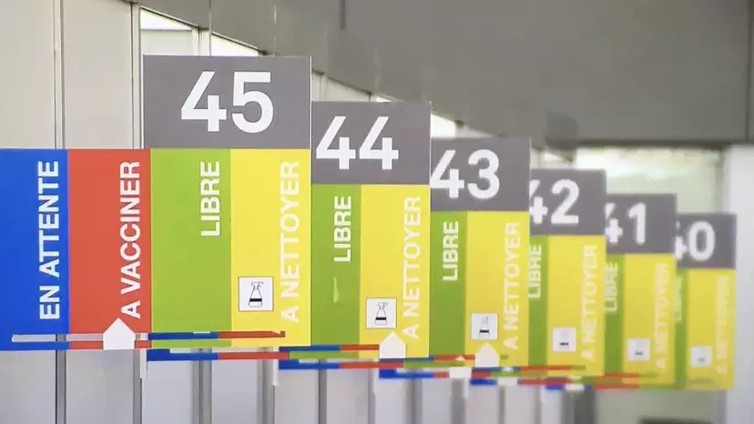 A row of cabins with their patient status signage © ge.ch