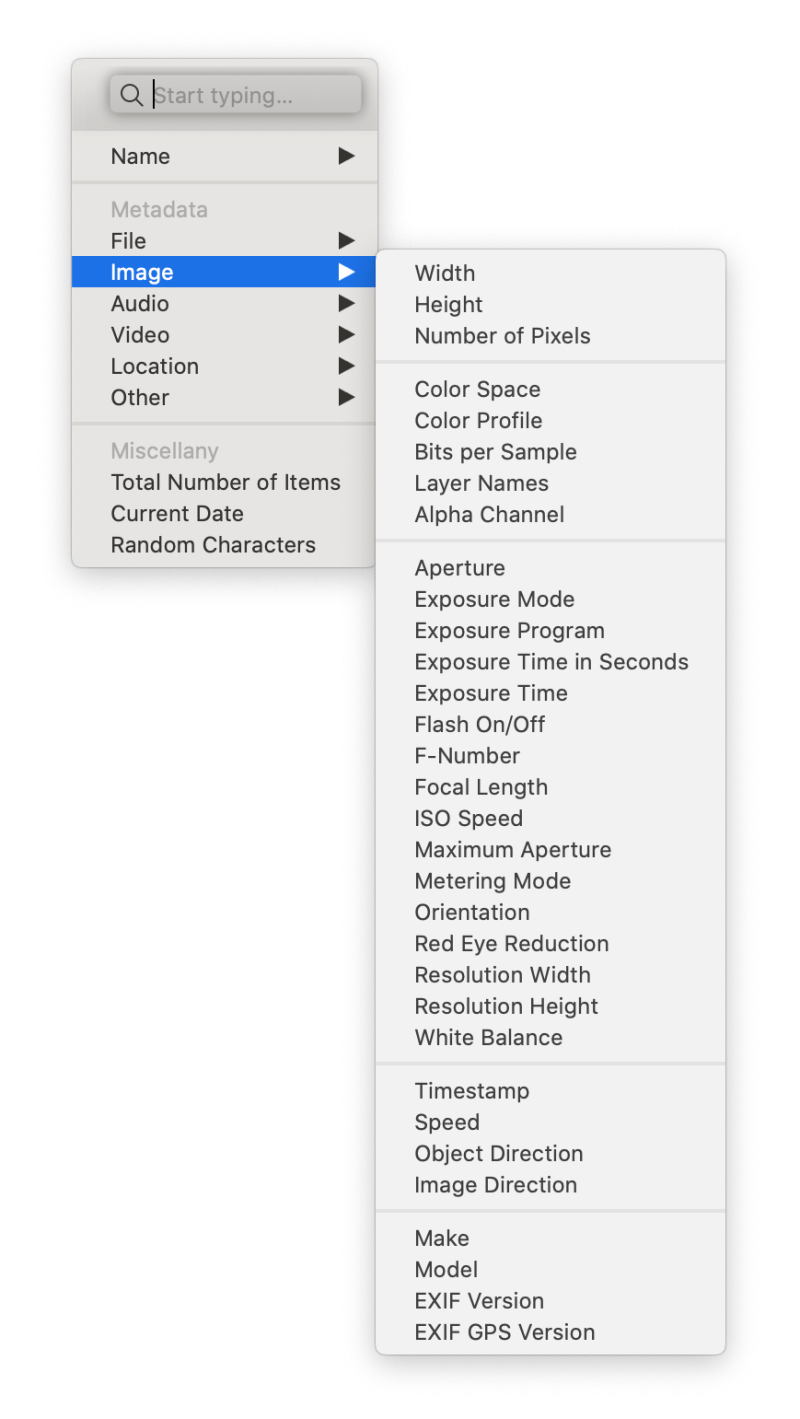 Dropdown menu of image meta you can use in your workflow