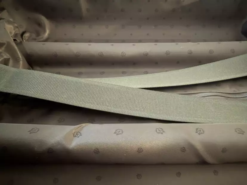 The Rimowa's handle intrudes deeper into the inner space