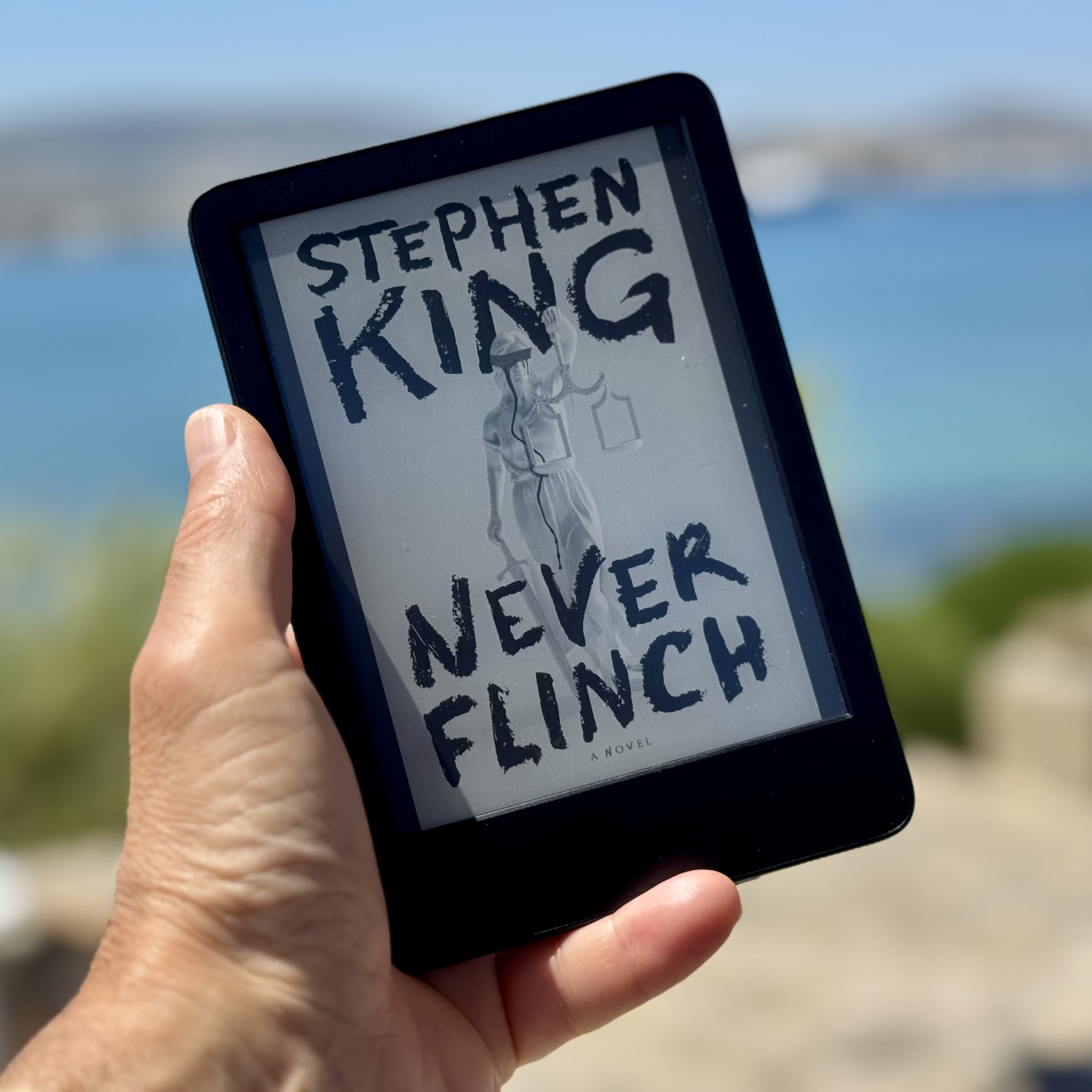 Kindle cover of Never Flinch