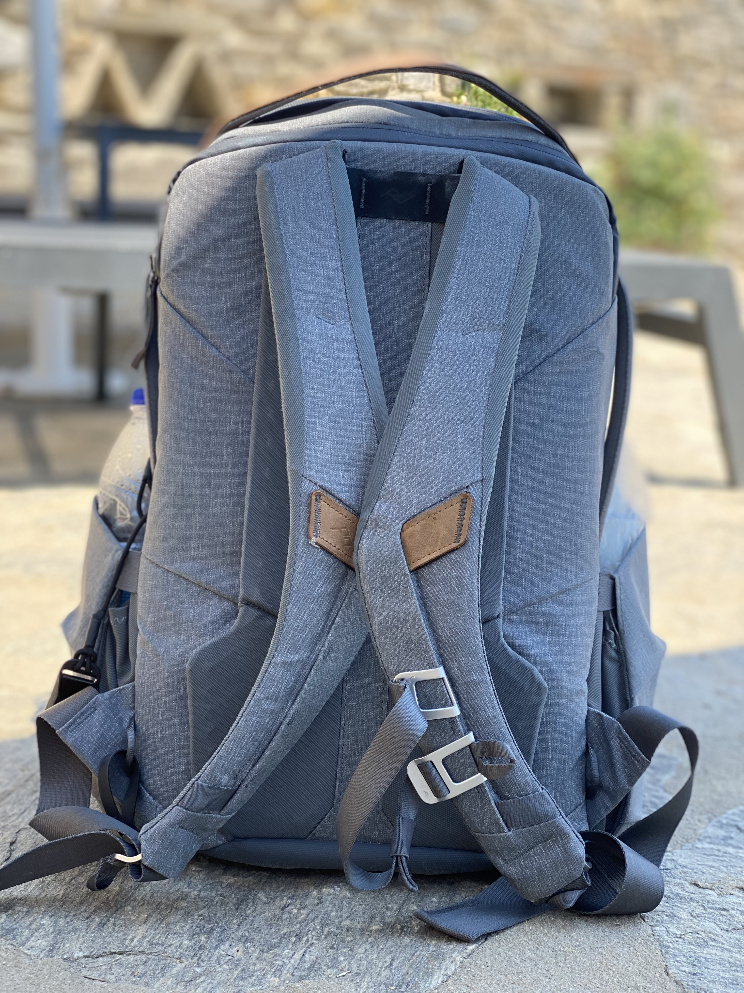 Everyday Backpack Zip back view