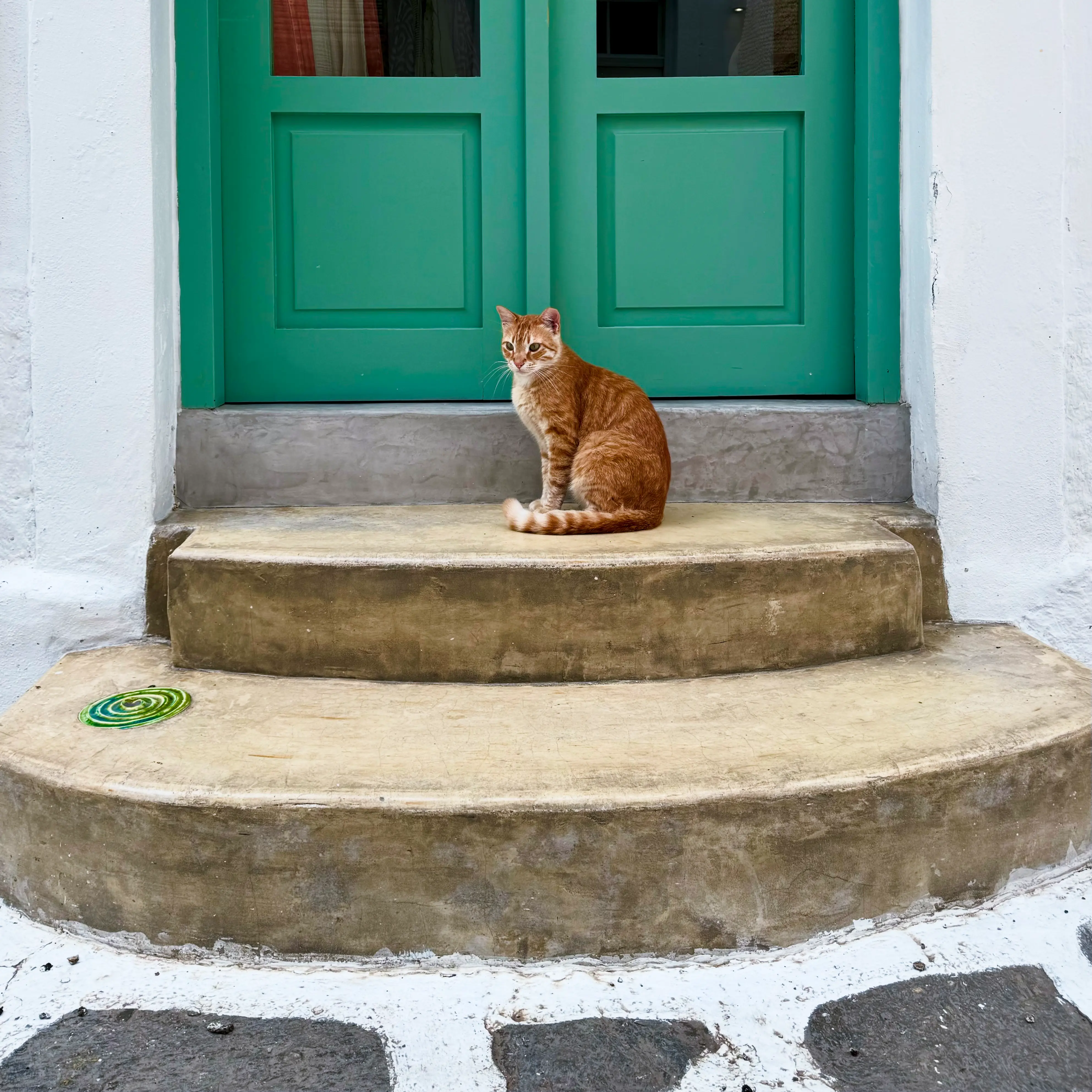 A tortoiseshell cat sitting on marble stairs in front of a green door