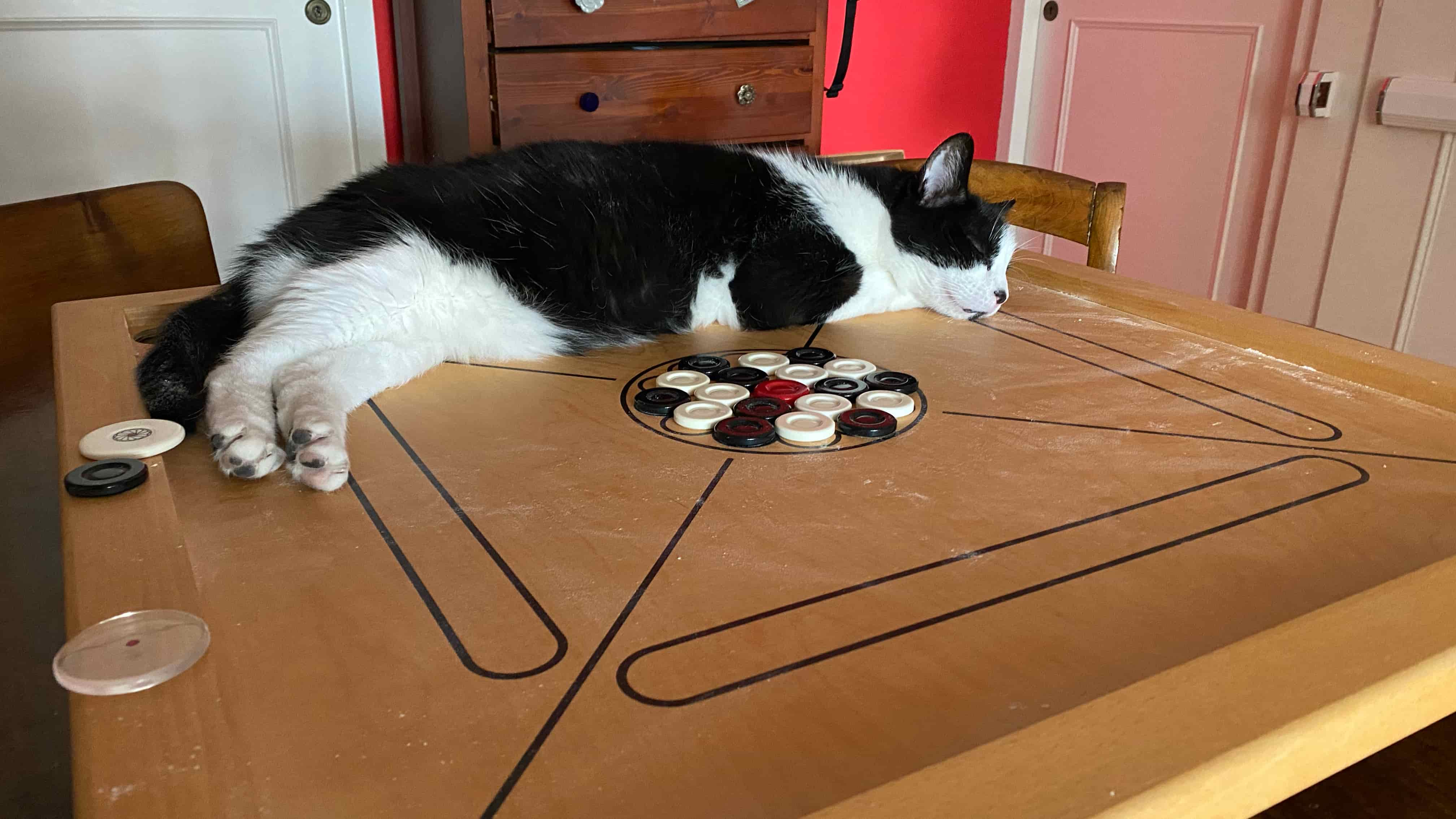 Sushi our laying on the Carambole board
