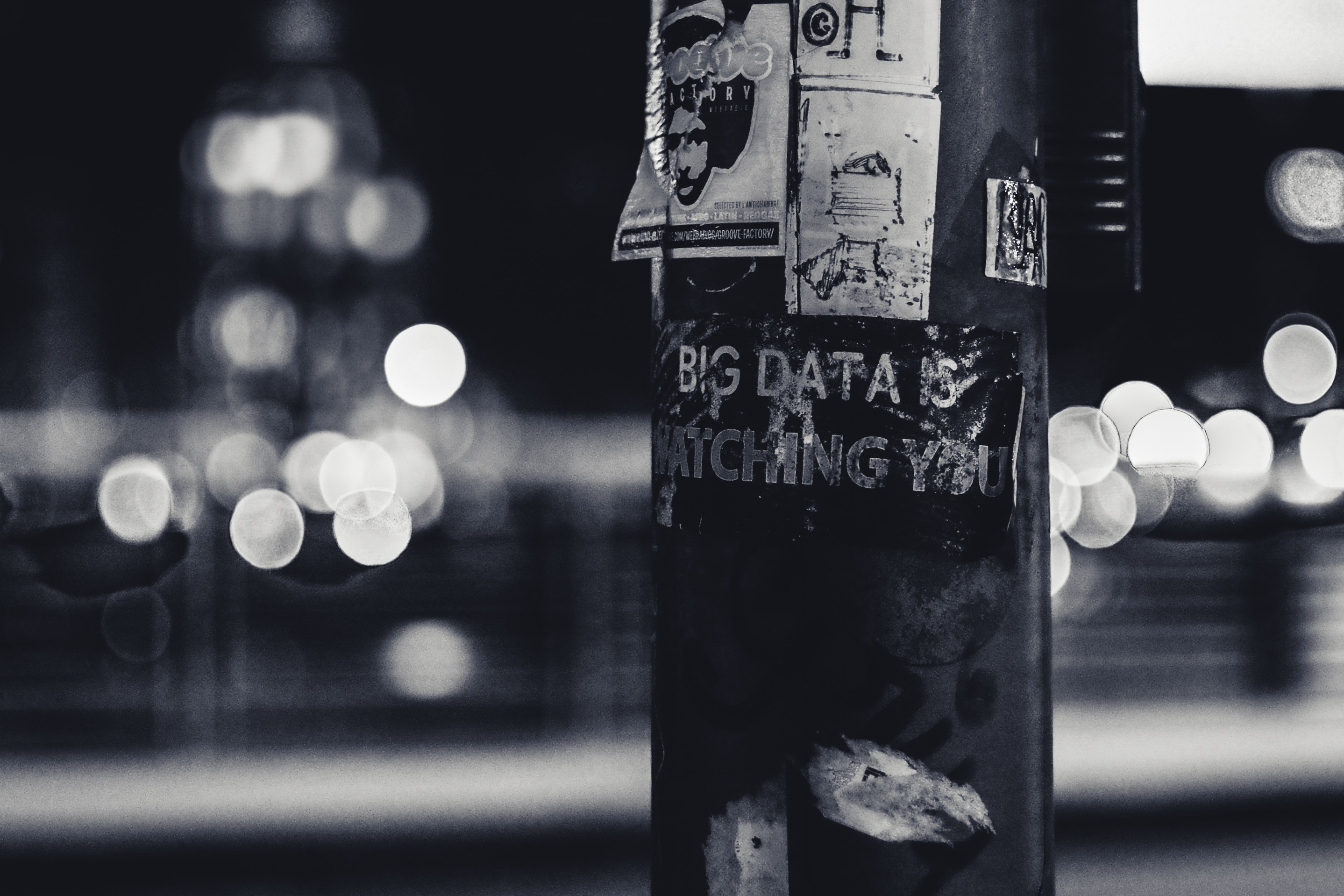 Telegraph pole with the words Big Data written on it. Photo by ev on Unsplash